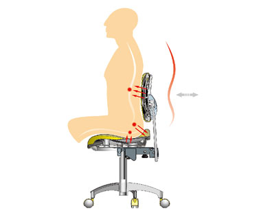 Characteristic Of D3 Doctor Stool: Ergonomically Designed